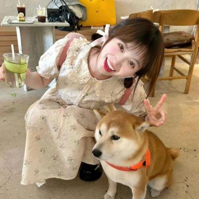 怪化猫